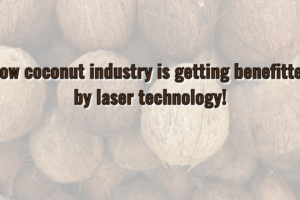 Laser Cutting for Coconut Industry